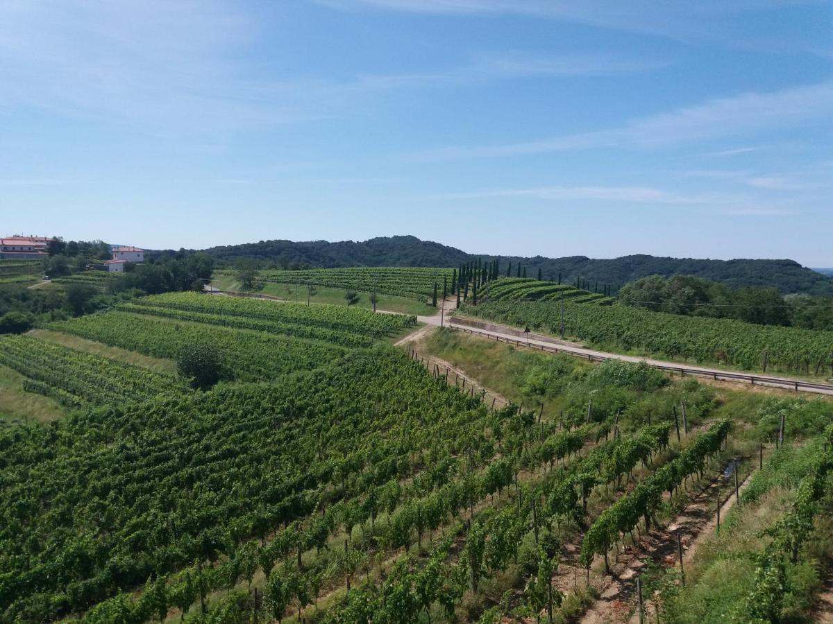 Agriturismo Casa Delle Rose Winery Ruttars Exterior photo