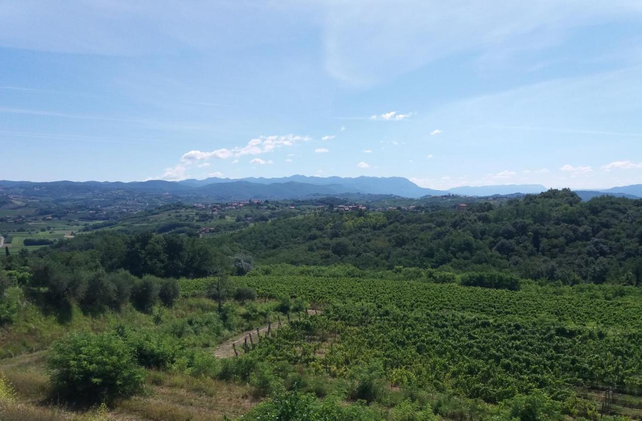 Agriturismo Casa Delle Rose Winery Ruttars Exterior photo