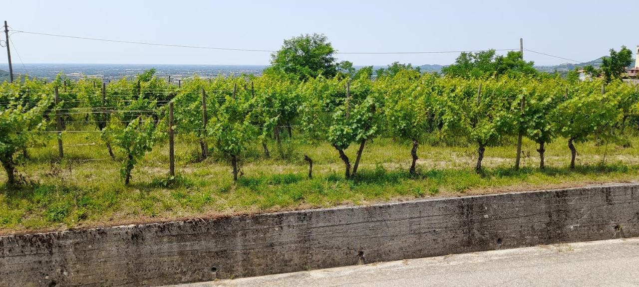 Agriturismo Casa Delle Rose Winery Ruttars Exterior photo