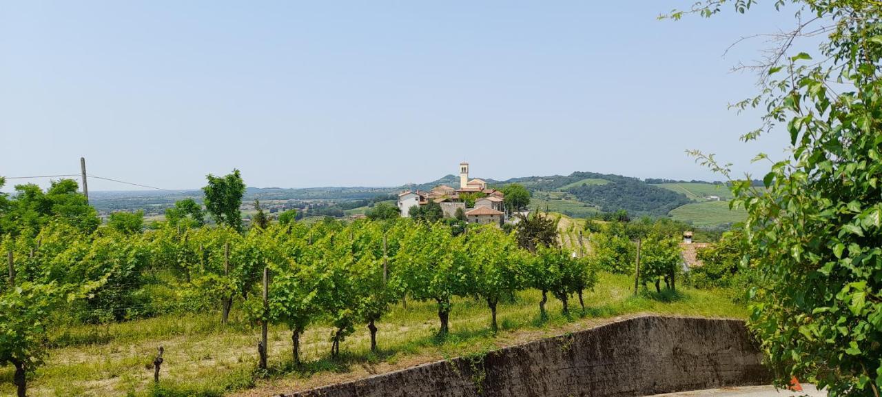 Agriturismo Casa Delle Rose Winery Ruttars Exterior photo
