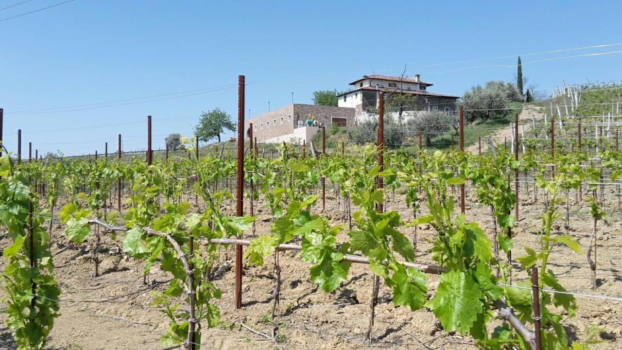 Agriturismo Casa Delle Rose Winery Ruttars Exterior photo